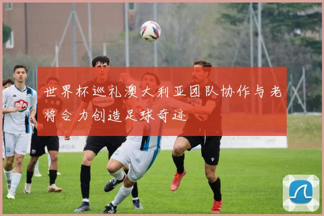 世界杯巡礼澳大利亚团队协作与老将合力创造足球奇迹